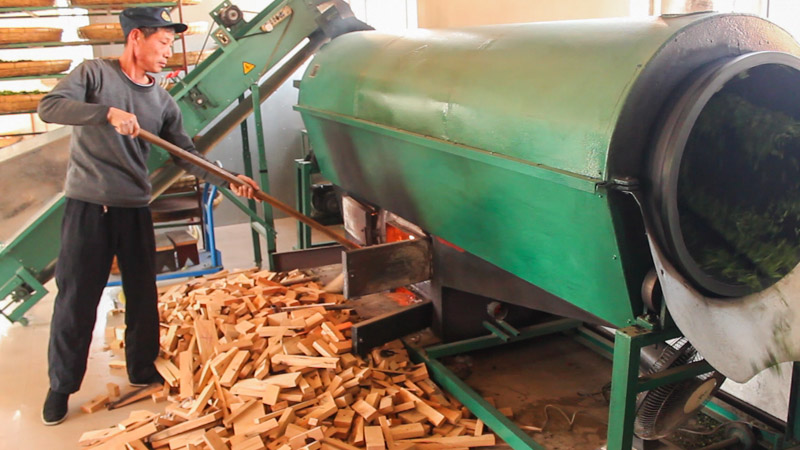 Melatih Kesabaran Melawan Siput